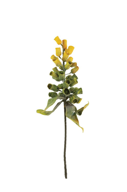Yellow Botanica