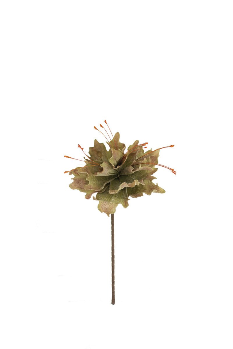 Green Botanica