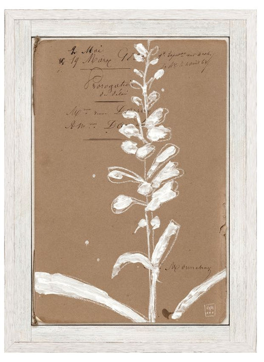 French Floral Dossier V C. 1860