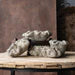 Cast Concrete Coral Planter Natural