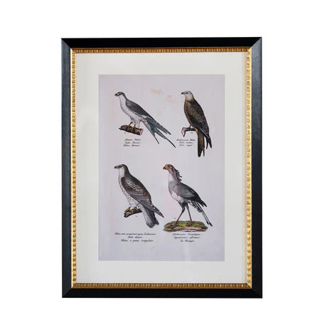 Andover Matted Frame