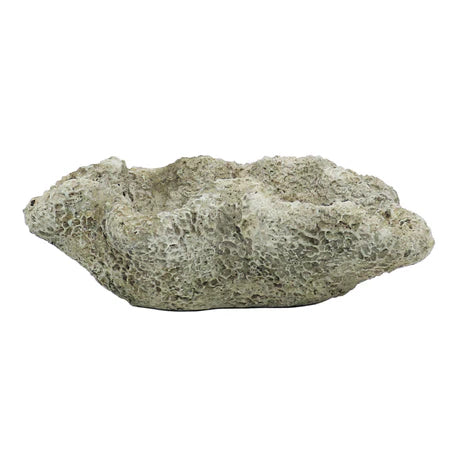 Cast Concrete Coral Planter Natural