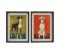 Dog & Bobbin photo